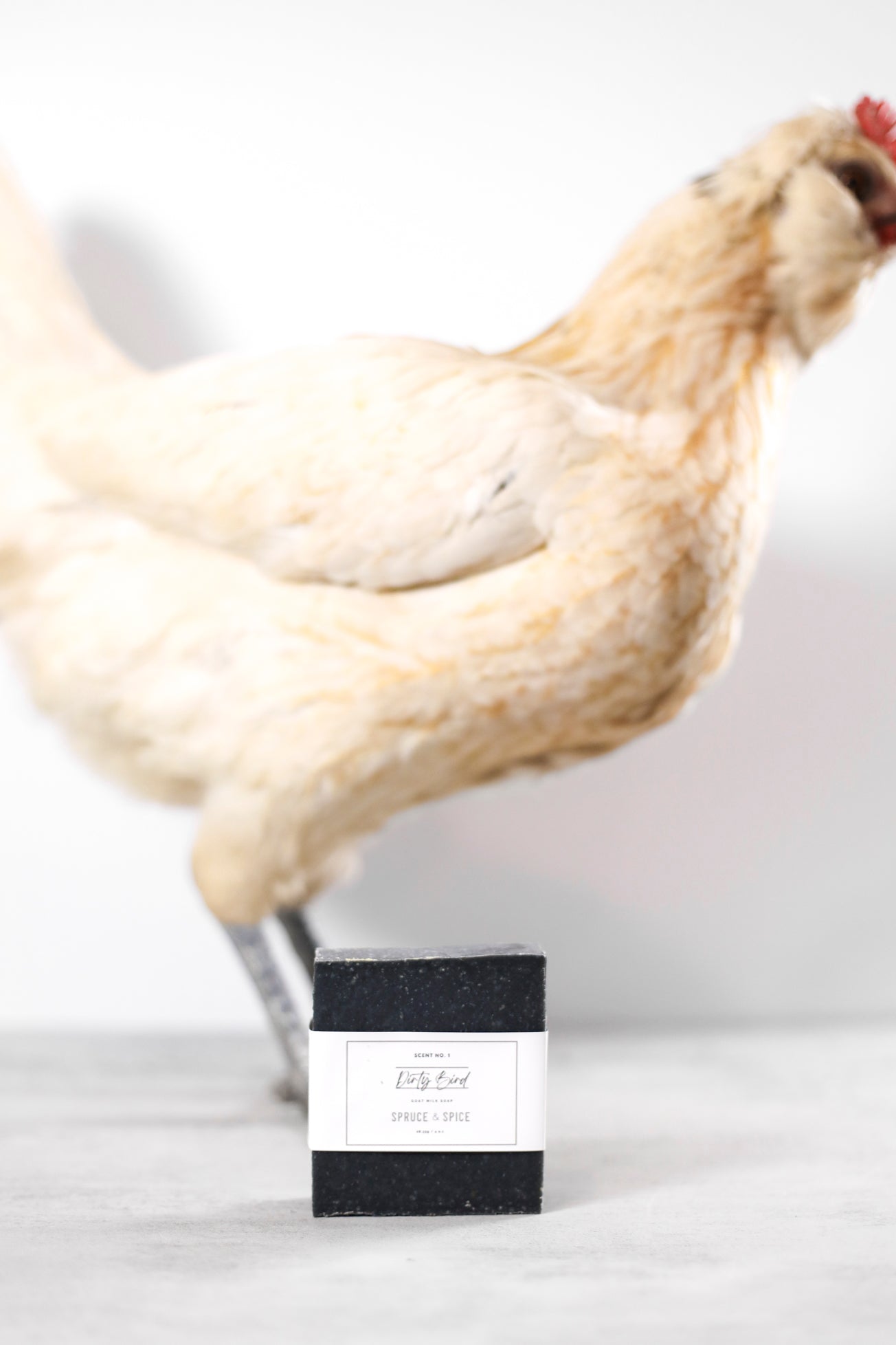 Dirty Bird Goat Milk Soap Bar | Activated Charcoal + Tea Tree
